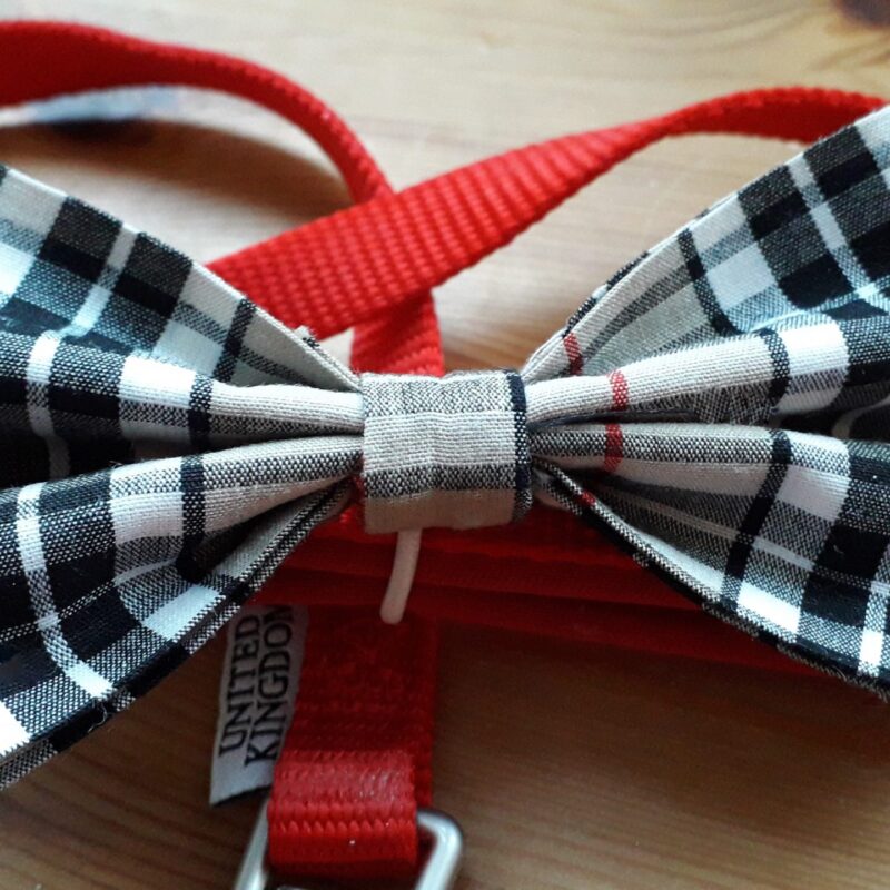 Bows for Dog Collars/Leads